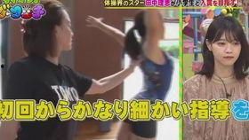 日本肛门 综艺,肛门综艺背后的社会现象与争议